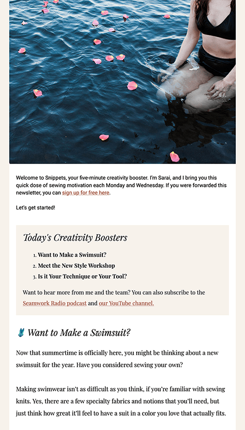 Screenshot of sample Snippets newsletter