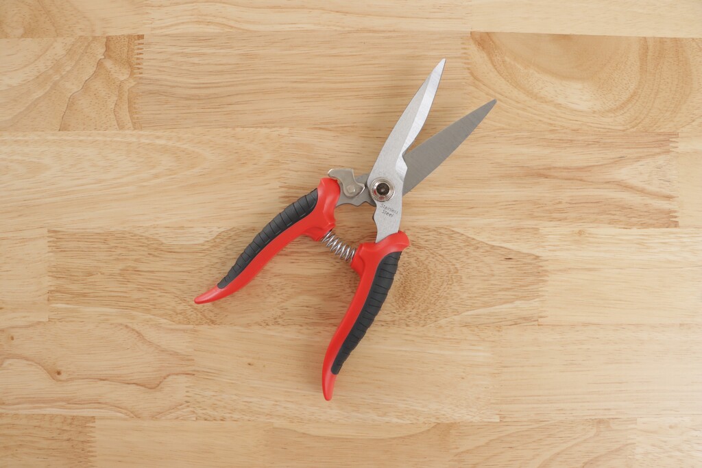 Close-up of precision snips