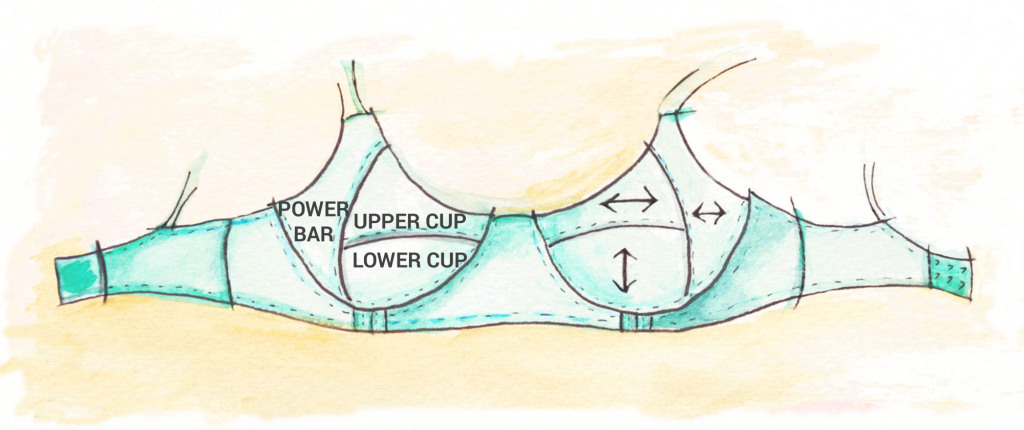 anatomy of a bra
