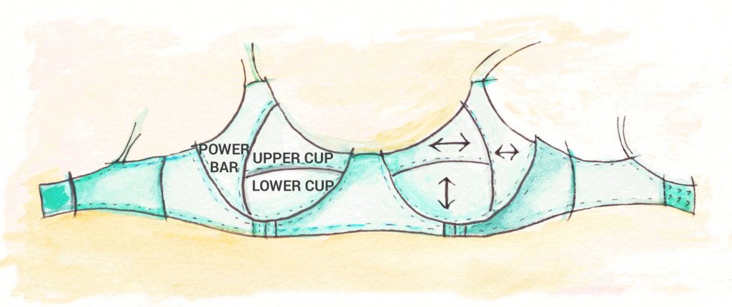 Different Parts of a Bra  Anatomy of a Bra - Textile Learner