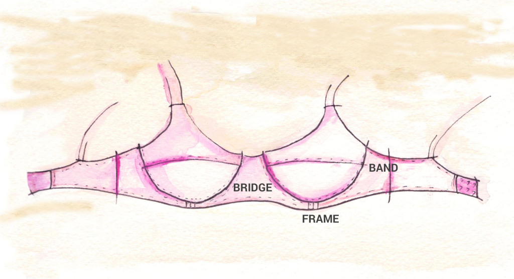 Bra anatomy and all its parts