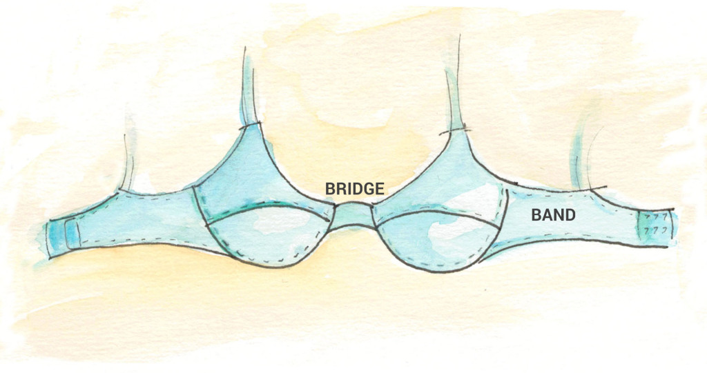 Bra Parts and Their Role