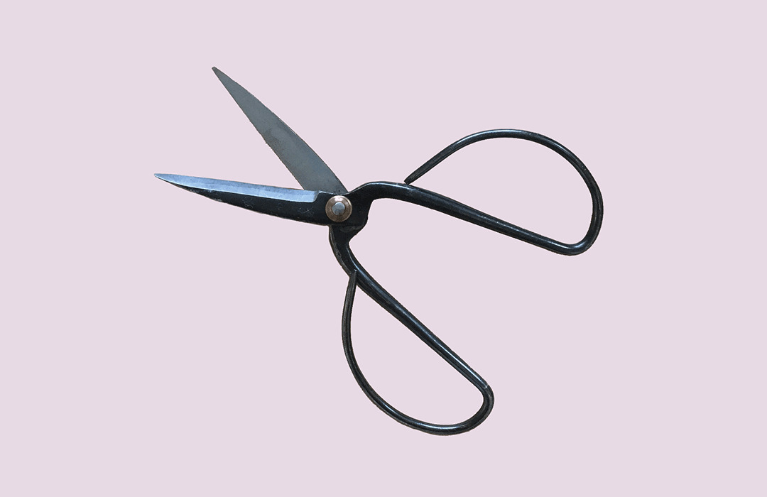 Butterfly Wing Embroidery Scissors - Stitched Modern