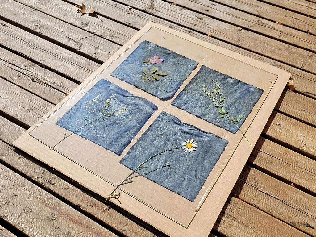 Cyanotype Fabric Fun: 5 Tips for Successful Prints